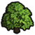 Plumberry tree icon.png