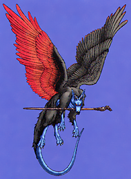 Pet Rock, Dragon Age Wiki