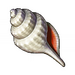 Sun bleached seashell xi icon.png