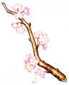 Blooming Branch.png