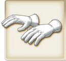 Cotton gloves.jpg