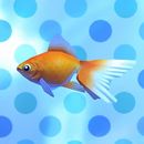 DQB2 DLC Goldfish.jpg