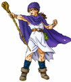 DQV Adult Hero PS2.png