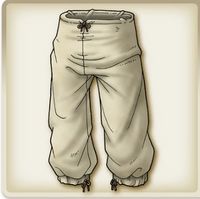 Cotton trousers.jpg
