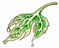 DQII Leaf of the World Tree.png