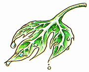 Yggdrasil leaf - Dragon Quest Wiki
