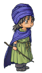 Hero (Dragon Quest V) - Dragon Quest Wiki