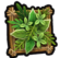 Framed foliage icon b2.png