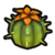 Prickly peach cactus icon.png