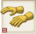 Gurus gloves.jpg