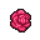 DQIX Stellar starflower.png