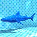 DQB2 DLC Whale Shark.jpg