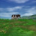 DQ VIII Android Pickham Region Cow 3.jpg