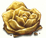 Desert rose hi res scan.png