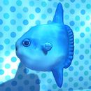DQB2 DLC Sunfish.jpg