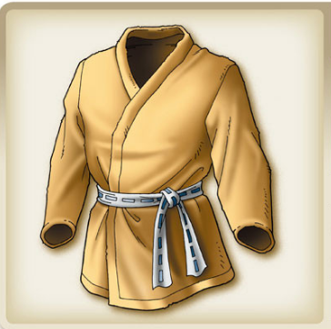 Training top IX artwork.png