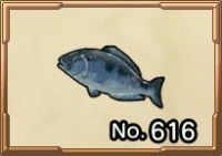 Fresh pescadorian fish treasures icon.jpg
