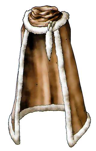 File:DQVIII Leather Cape.png