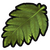 Fibrous frond icon.png