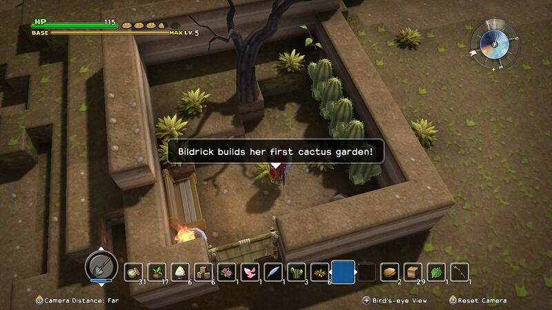 File:DQB 49 Cactus garden.jpg