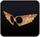 DQH Muggers mask.png