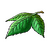Yggdrasil leaf xi icon.png