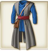 Rogues robes.jpg