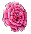 Thumbnail for version as of 19:02, 2 August 2016