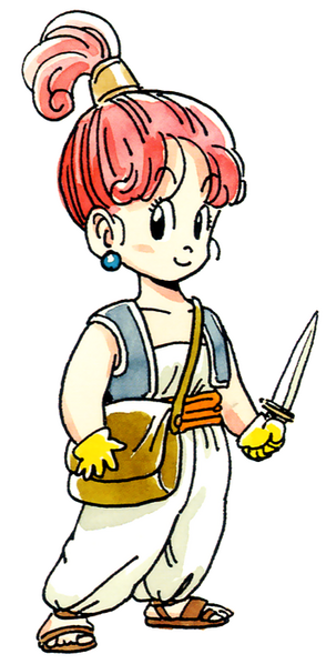 File:DQIII Merchant Female Famicom.png