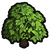 Plumberry tree icon.png