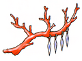 Thumbnail for version as of 15:47, 2 February 2012