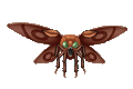 HQDQ8-135.gif