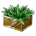 Special antidote xi icon.png