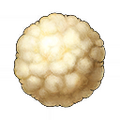Thumbnail for version as of 20:29, 26 June 2022