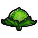 Luscious lettuce DQTR icon.png