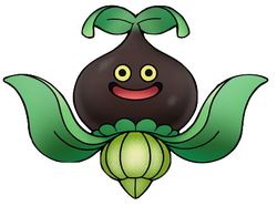 DQXI Mandora art.png