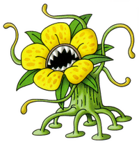 Gnawchid artwork.png
