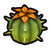 Prickly peach cactus icon.png