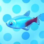 Neon Tetra.jpg