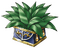 Special Medicine.png